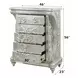 Sandoval Champagne 5 Drawer Chest