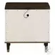 Carena White and Walnut 2 Drawer Nightstand with USB Charging