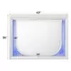 Tarian Pearl White Rectangular Dresser Mirror with LED