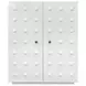 Beau White Lacquer 2 Door Soft Close Accent Cabinet