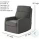 Mimi Wendover Platinum Wall Hugger Power Headrest Recliner