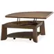 Tanner Tawny Brown Free Form Lift Top Cocktail Table
