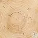 Aliza Natural Pine End Table