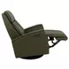 Relax Crown Martini Olive Leather Small Glider Power Recliner with Magnetic Charger