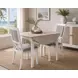 Island Haven Blanc and Gray Upholstered Dining Chair Set of 2