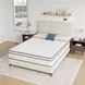 Catmint White and Gray 10" Innerspring Full Mattress