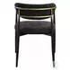 Jaramillo Black Chenille and Black Arm Chair Set of 2