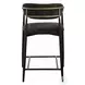 Jaramillo Black Chenille and Black Counter Height Chair Set of 2