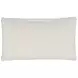 Aldrin Beige and Brown Pillow