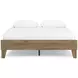 Deanlow Honey Queen Platform Bed
