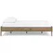 Deanlow Honey Queen Platform Bed