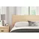 Cabinella Tan Queen Panel Headboard
