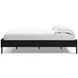 Finch Matte Black Queen Platform Bed