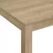 Holmes Brown 66" Rectangular Dining Table