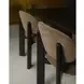Sami Brown Performance Fabric Upholstered Dining Chair Set of 2