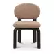 Sami Brown Performance Fabric Upholstered Dining Chair Set of 2