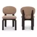 Sami Brown Performance Fabric Upholstered Dining Chair Set of 2