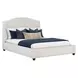 Elowen Rosemont Alabaster and Espresso Queen Upholstered Panel Bed