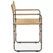 Lund Brown Upholstered Director Dining Chair