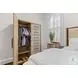 Vista Verde Muted Earth Tones and Clay Woven 1 Mirrored Door Chest