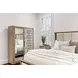 Vista Verde Muted Earth Tones and Clay Woven 1 Mirrored Door Chest