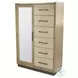 Vista Verde Muted Earth Tones and Clay Woven 1 Mirrored Door Chest