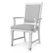 Point Breeze Gray Performance Fabric Upholstered Arm Chair Set of 2