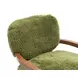 Eramo Green and Dark Walnut Upholstered Accent Chair