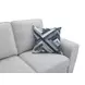 Enea Light Gray 64" Loveseat with Pillows