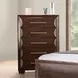 Hinwitz Espresso 5 Drawer Chest
