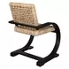 Belmont Black and Brown Dining Chair