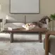 Kingsley Brown Rectangular Coffee Table