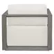Carlisle Oyster White and Weathered Gray Upholstered Outdoor Lounge Chair