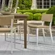 Calbas White and Honey Outdoor Dining Chair