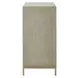 Alden Cerused and Gold 2 Door Accent Cabinet