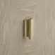 Alden Cerused and Gold 2 Door Accent Cabinet