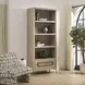 Alden Brown and Brushed Brass Etagere