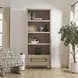 Alden Brown and Brushed Brass Etagere