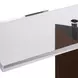 Riverton Bronze Rectangular Acrylic Top Console Table