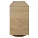 Evanston Natural 4 Door Accent Cabinet