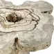 Carlisle Brown Free Form Coffee Table