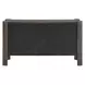Alden Dark Gray 2 Door Accent Cabinet