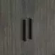 Alden Dark Gray 2 Door Accent Cabinet