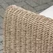 Belmont Oyster White and Golden Flax Upholstered Outdoor Lounge Chair