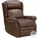 Gabby Worthington Cognac Power Recliner with Power Headrest And Lumbar