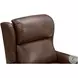 Gabby Worthington Cognac Power Recliner with Power Headrest And Lumbar