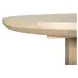 Valencia Gray Birch 60" Extendable Oval Dining Table