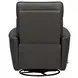 Rovelle Abby Dark Gray Leather Manual Swivel Glider Recliner