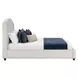 Elowen Rosemont Alabaster and Espresso Queen Upholstered Panel Bed