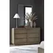 Liam Hearthstone Rectangular Dresser Mirror